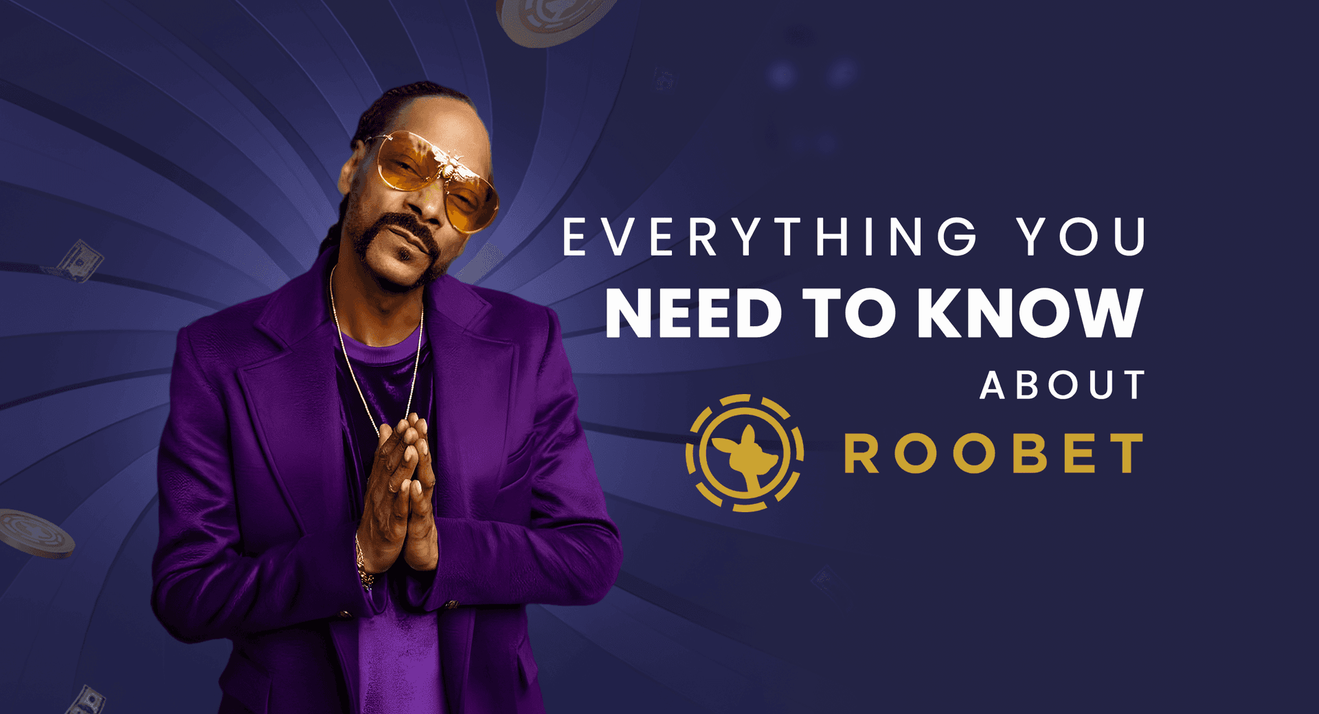 Cover Image for AcePicks.ai Announces Official Partnership with Roobet